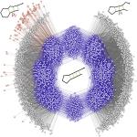events rna spaces striking images