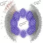 events rna spaces striking images
