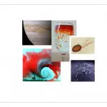 fluids flows image